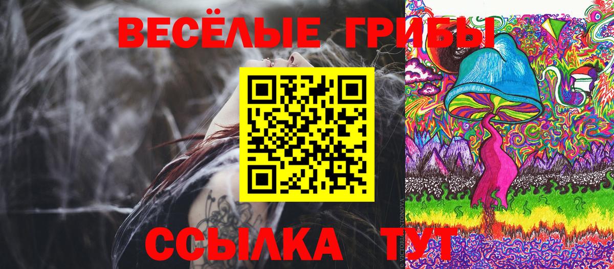 Галлюциногенные грибы GOLDEN TEACHER  Вход с VPN  Самара 